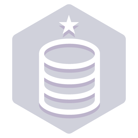 mission badge: Data and Integration Foundation