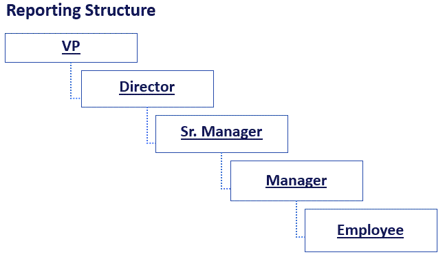 Reporting Manager reporting structure