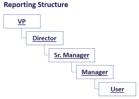 reporting-structure