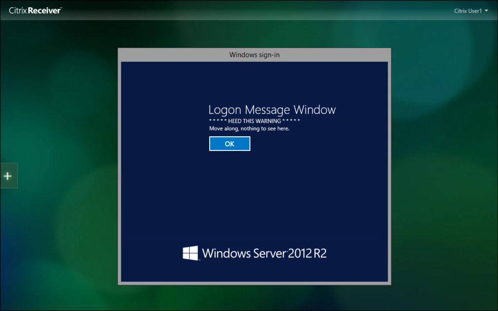 Screenshot showing a windows logon form following a Citrix application launch.