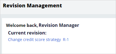 revision management