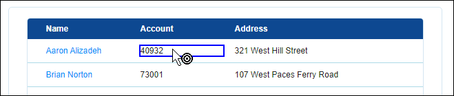 Screenshot showing the account number highlighted in the Pega Finance web application.