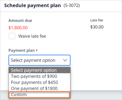 Custom payment option