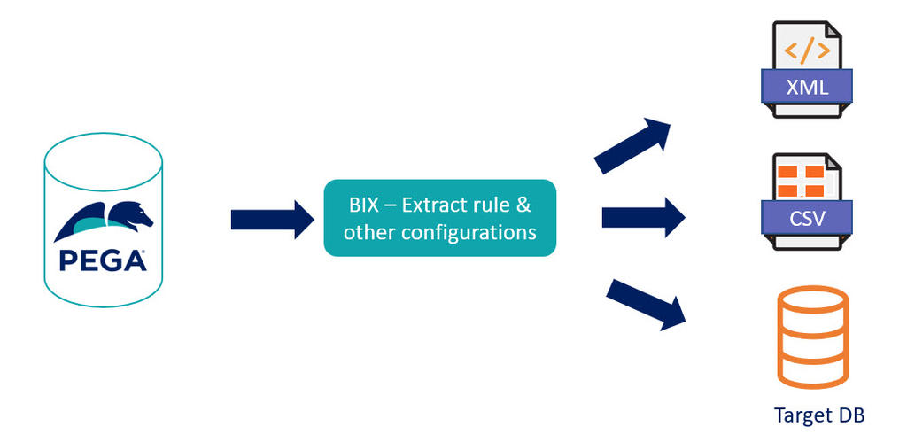 Diagram of the BIX extraction process.