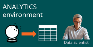 The Data Scientist in the Analytics environment