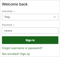 log in as troy - ubank