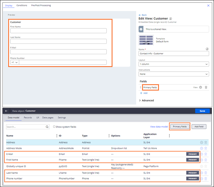 Primary fields in the Customer View and Customer data object.